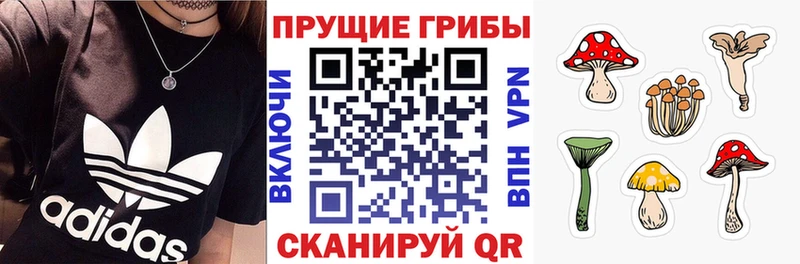 Псилоцибиновые грибы прущие грибы  Высоцк 